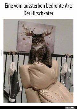 1608929291627.jpeg