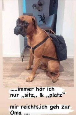 ...jpg