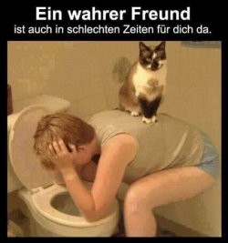 ..jpg