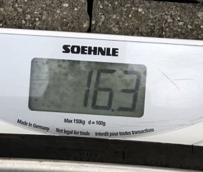 EC8AD5E1-415B-4A62-ACDB-B10992279F80.jpeg EC8AD5E1-415B-4A62-ACDB-B10992279F80.jpeg