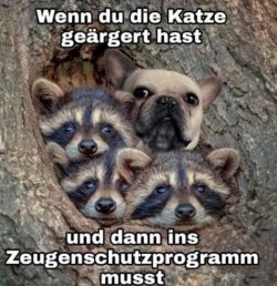 20201230_142406.jpg