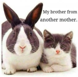 A9AE98B7-8754-481F-928F-2A37FA02C7FB.jpeg