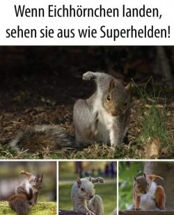 T..jpg
