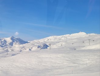 20201231_230541.jpg
