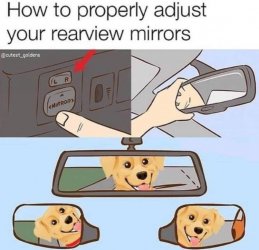 C456C4F9-767D-43FE-A56F-96F5F8A7609D.jpeg