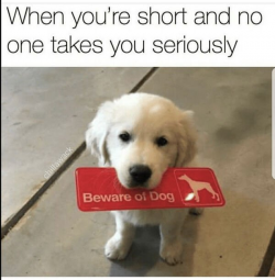 1609434450584.png