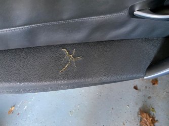 IMG_0583_1.JPG IMG_0583_1.JPG