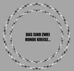 100EF53B-7B78-4D6F-A809-27EB4829D6CD.jpeg