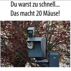 D8F9E106-C33F-4D56-BD21-3FAE9A4653BE.jpeg