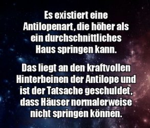 5Unbenannt - Kopie.JPG