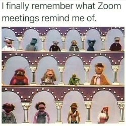 F65B0BF3-505B-4275-8EDE-91B19C29DE88.jpeg