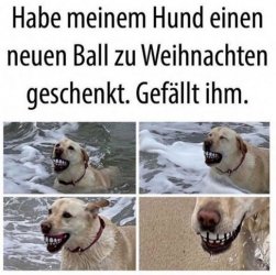 tUnbenannt - Kopie.JPG