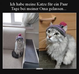 1610222191073.jpeg
