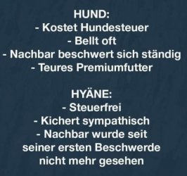 11Unbenannt - Kopie.JPG