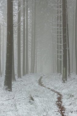 Wintertrail.jpg