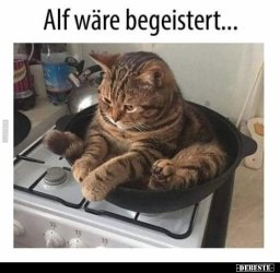1610653417280.jpeg