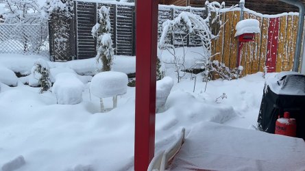 Schnee 2021.jpg