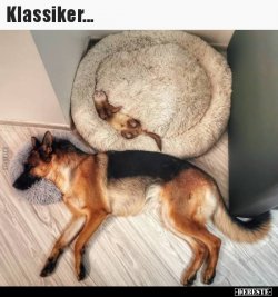1611299086703.jpeg