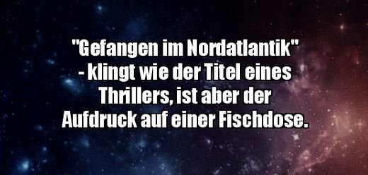 6Unbenannt - Kopie.JPG
