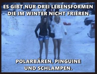FDA34928-2AB7-40A7-81F4-5BA052B5AF13.jpeg