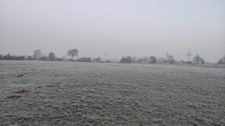 IMG-20210126-WA0000.jpeg