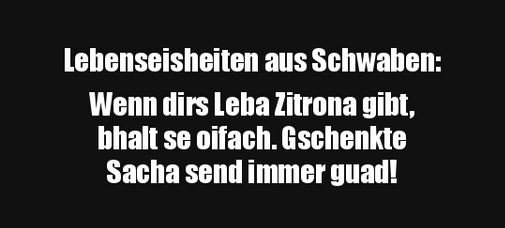 8Unbenannt - Kopie.JPG