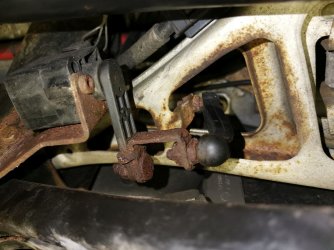 Rost.jpg