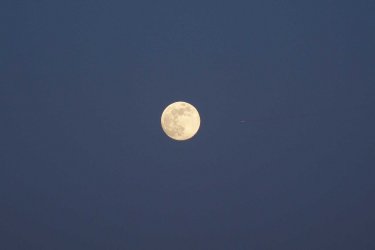 Vollmond.jpg