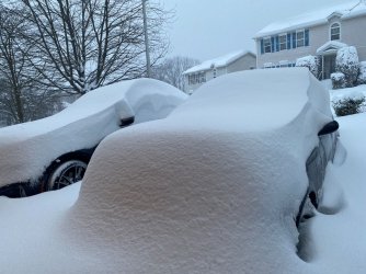 IMG_0635_1.JPG IMG_0635_1.JPG