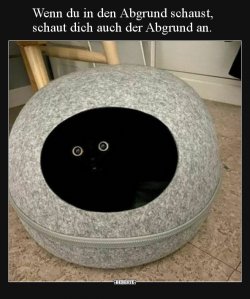 1612252811429.jpeg
