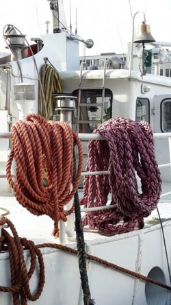 20160307_115948.jpg