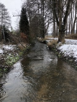 27.JPG