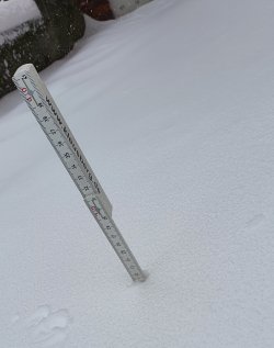 PSX_20210207_135729.jpg
