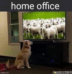 1612793296404.png