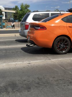 1612849838775.jpg 1612849838775.jpg