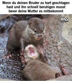 7D1A1FC7-D362-4B76-B85B-FE1E1779F581.jpeg