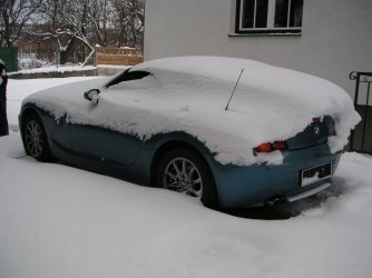 Z4_Fastback.jpg