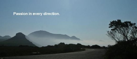 z4 teaser.jpg
