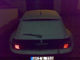22112008260.jpg