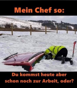 8C3CD2E5-5588-456C-BC74-2D1D9091452D.png