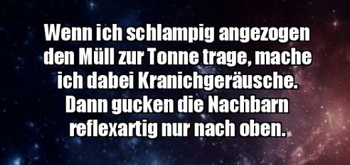 10Unbenannt - Kopie.JPG