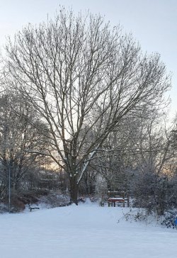 20210212_074922.jpg