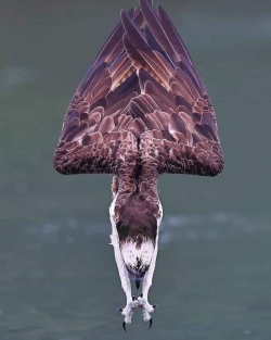 1613133245497.png