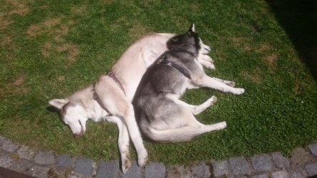 IMG-20180630-WA0000.jpg