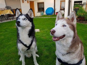 IMG-20180914-WA0007.jpg