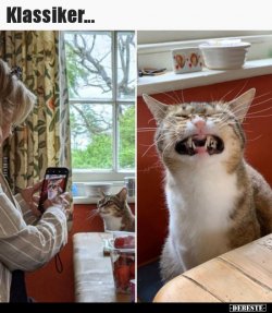 1613540491099.jpeg