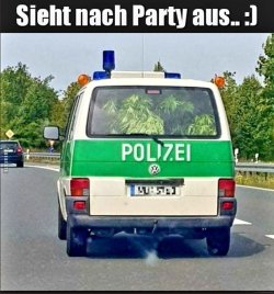 E87ED135-18D6-4FDC-96A1-B30D33771BB6.jpeg