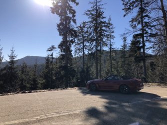 D3ED0767-A11E-48DC-829B-F0ABC6DA0A33.jpeg