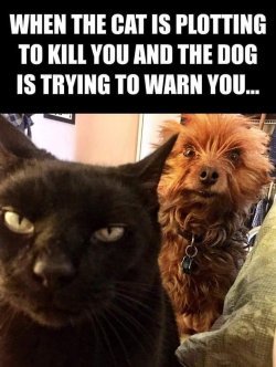 FB_IMG_1614114684515.jpg
