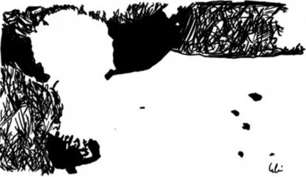 049459F1-647E-416B-ABCB-D31E097D1252.jpeg